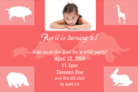 Style: Zoo party